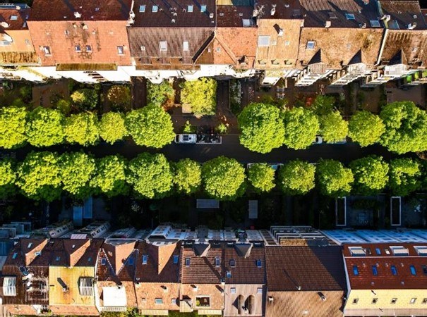 Photo /dokumenti/PKK/Zelena_infrastruktura/ZI_20251113.jpg